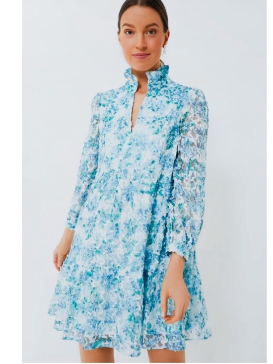 Tuckernuck Dresses & Skirts - Tuckernuck Light Blue Dress with Logo Label
